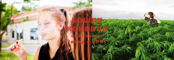 СК Елабуга