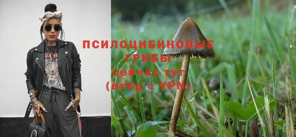мяу мяу мука Абдулино