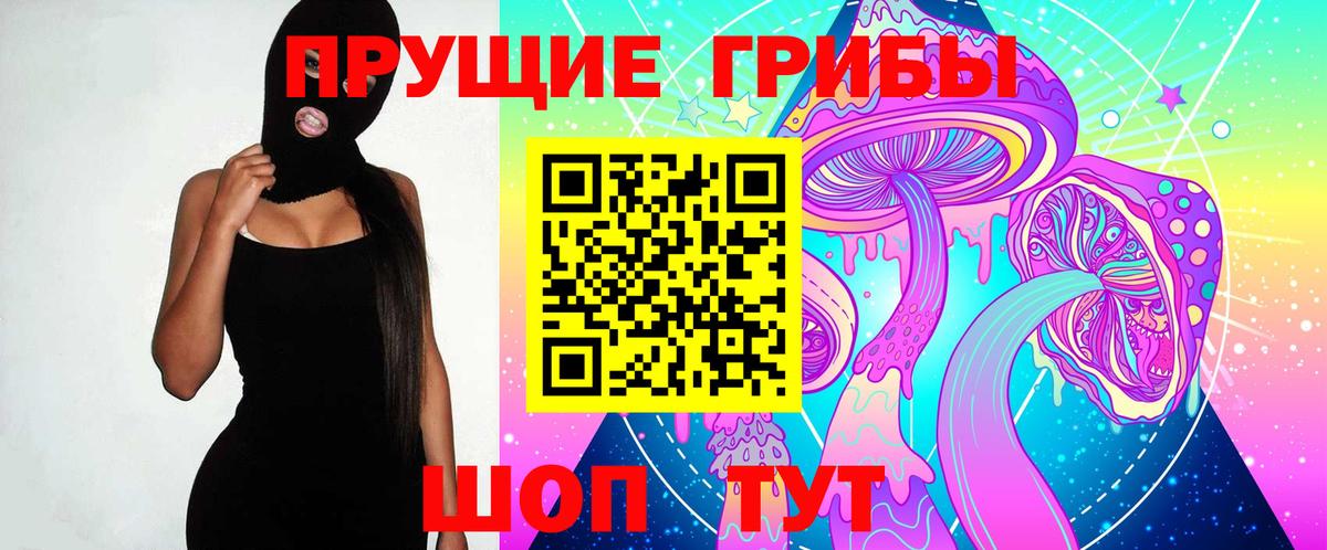где купить наркотик  Вход с VPN  Касимов  Псилоцибиновые грибы Cubensis 