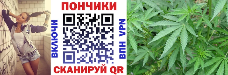 как найти закладки  Касимов  мега зеркало  Канабис THC 21% 